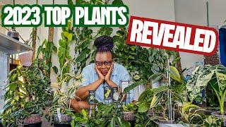 Houseplant Tour: My Top Houseplants of 2023 - You Won't Believe #24