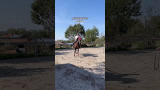 Das Video ist in voller Länge auf meinem Kanal online #reitenlernen #equestrianboy #bruder