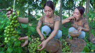 Primitive TV, Eat  wild figs fruit with Prahok sauce / ញ៉ាំផ្លែល្វាព្រៃជាមួយប្រហុកម្ទេសហិរឆ្ងាញ់