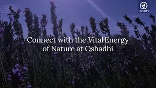 Connect with the Vital Energy of Nature | OSHADHI HD