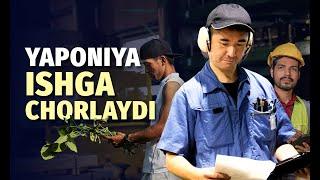 Yaponiyaga ishlashga borish osonlashdi. Samarqandda seminar bo‘lib o‘tadi