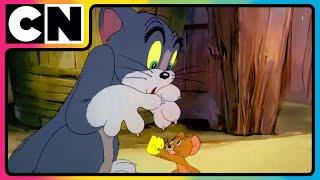 Tom and Jerry  | Feline’s Fiery Mission! | Compilation | Cat and Mouse | @cnindia