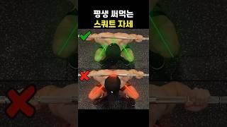 스쿼트 자세 가장 쉬운 영상