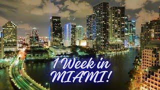 Miami in a Week The Ultimate Travel Guide 2024