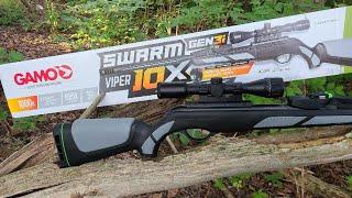 Affordable Plinking! Gamo Swarm Viper 10x Gen3i