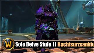 Solo Delve Stufe 11: Nachtsurzsanktum - Guardian Druide