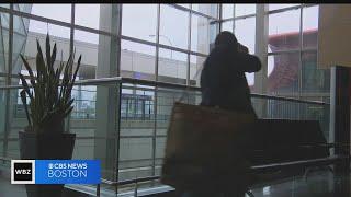 Logan Airport passengers get a first look at Terminal E's new wing