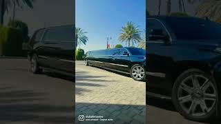 Black PANTHER Limo.  #dubai #cars #luxury #super #travel #trending #viral #blackpink #limo #fyp