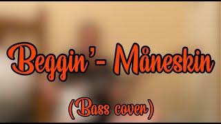 Måneskin - Beggin' (Bass Cover) | Zoe Bird