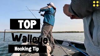 Top Walleye Hooking Tip | the Reeling Hookset