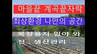 횡성부동산 마을끝 계곡끝 완벽한 독립공간 편리한 접근성 임야 목장용지21175평 전800평 임야 6000평 합28.000평