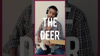 The Deer - Baby Green #pedazosbergas