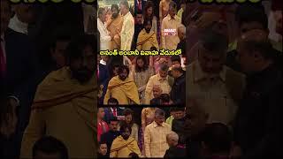 అనంత్ అంబానీ వివాహ వేడుకలో | Pawan Kalyan With Mukesh Ambani | Cm Chandrababu | Bharat No1 Tv