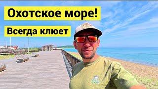 В Охотском море всегда клюёт! Рыбалка с берега!