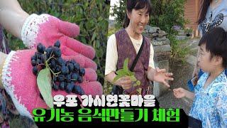 Korean Organic Food Making Experience / Korean Street Food