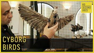 Taxidermy Bird Drones Fly For Science