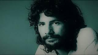 Wild World  CAT STEVENS (with lyrics)