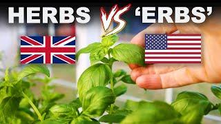 Why Americans don't pronounce the H in herbs