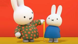 Miffy's new dress | Miffy | Cartoons for Children | Miffy's Adventures Big & Small