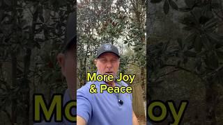 How To Have More Joy & Peace In Your Life