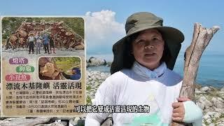 基隆社大影像紀錄社在地的關懷 基隆嶼