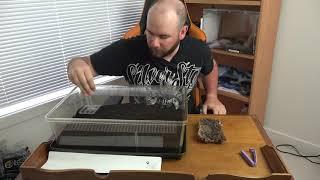 Setting up your first Terrestrial Tarantula Cage