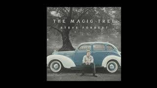 Steve Forbert - Carolina Blue Sky Blues