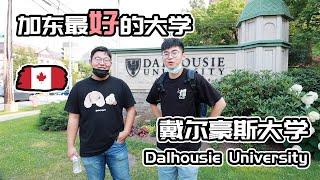 戴尔豪斯大学加拿大海洋四省最好的大学Dalhousie University | 拥有价值2000万加币体育馆的戴尔豪斯大学校园浏览讲解 | 在Dalhousie 如何选择专业？【Zander明】