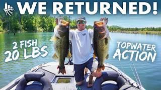 The Most Viral Lake Ever!!! We Challenged The Pros Again!! (Giant Bass)