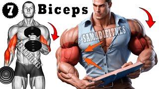 7 Best Biceps Workout At Gym