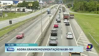 Movimento na BR-101 Durante o Feriado: Veja as Últimas Informações