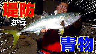 【釣り旅行】堤防でアジを泳がせてたら物凄い引きの青物が釣れた！！