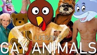 Gay Animal Slang - Fish, Birds & Star Wars - Tom Goss and Arshad Aslam