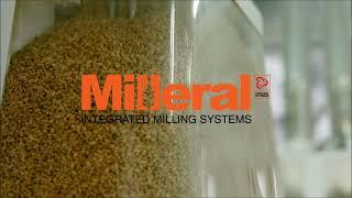 Milleral - TURKEY 300 t/d Wheat Flour Mill