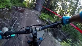 EWS 2019 : RD 6, Whistler - stage 1; Top Of The World full run