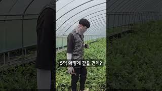 귀농하면 5억이 생깁니다.