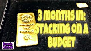 Silver Stacking on a Tight Budget - 1st 3months Review