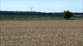 Spraying corn with helicopter