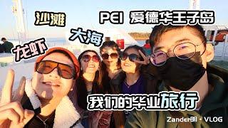 2022加拿大毕业旅行，爱德华王子岛Prince Edward Island，加拿大的世外桃源。【Zander明VLOG】