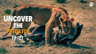 Uncover the Predator - हिन्दी डॉक्यूमेंट्री | Discovery channel Hindi documentary, Full Episode