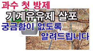 기계유유제 살포. 궁금함이 없이 알려드립니다.( 과수 병해충 방제, 과수 봄 방제, 친환경살충제,  기계유유제 성분, 기계유유제 치는 시기, 기계유유제 방제 대상, 기계유제 농도