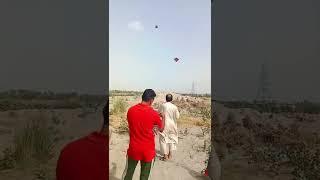 kite flying  #kitelover #kitefighting #kiteflying #indiankite