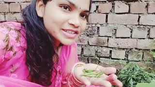 #Aaj gaon  ka desi mirchi khai #jiya arya monu mahant vlogs 
