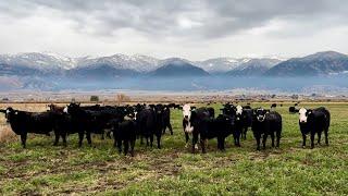 Preparing The Ranch For The Changing Seasons