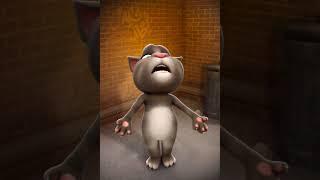 My Talking Tom 326 #cat