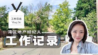 帮客人卖豪宅｜地产经纪人工作的一天｜旧金山湾区地产经纪人｜美国硅谷地产经纪人｜卖房子要注意什么？shannon服务湾区卖房买房｜专业诚信可靠