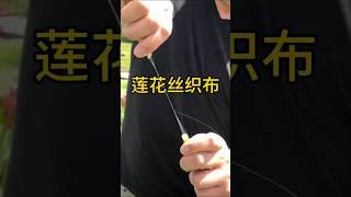 越南从花莲中提取细丝，用来制作衣物