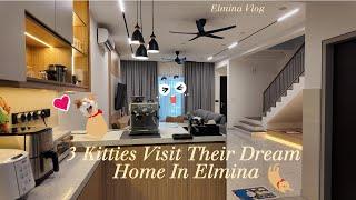 #elmina 3 Kitties Visit Their Dream Home In Elmina #cat #cats #newhome #simedarbyproperty #myhome#新家