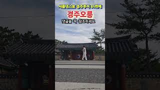 셔플댄스로 경주투어 51번째 (경주 오릉) 퇴직후 이 남자가 노는 법 Shuffle dance tour in Gyeongju