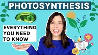 Photosynthesis: AQA A-level.  Everything you need to know.